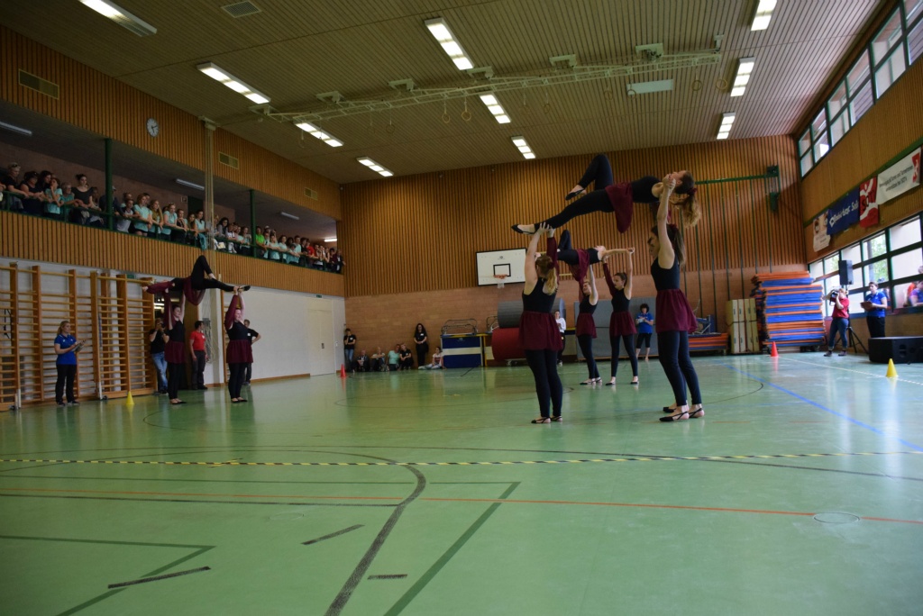 Bild (230)